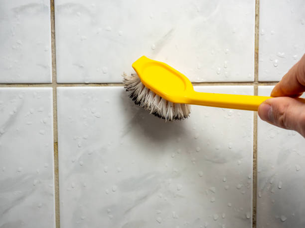 Best Commercial Mold Removal  in Jeffersontown, KY
