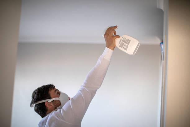 Best Residential Mold Removal  in Jeffersontown, KY
