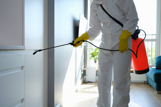Best Mold Testing  in Jeffersontown, KY