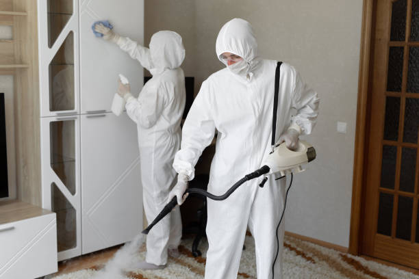 Best Mold Removal and Inspection  in Jeffersontown, KY